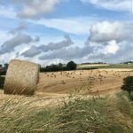 Gite nature en Côte d'Opale | Gite Le Bois Roger